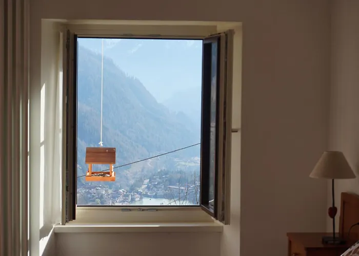 Civetta Panoramic Mountain Casa vacanze